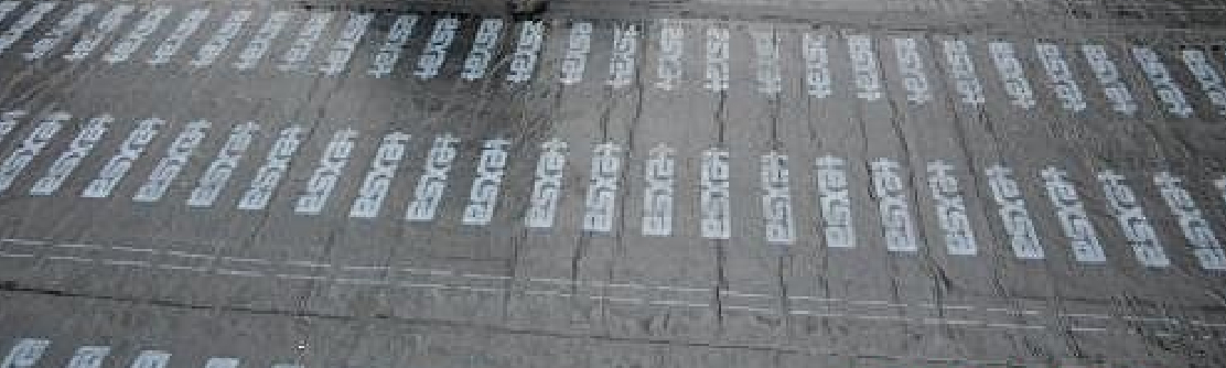 画板 23 副本 14.jpg